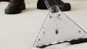 Knoxville Tennessee Commercial Carpet Cleaning